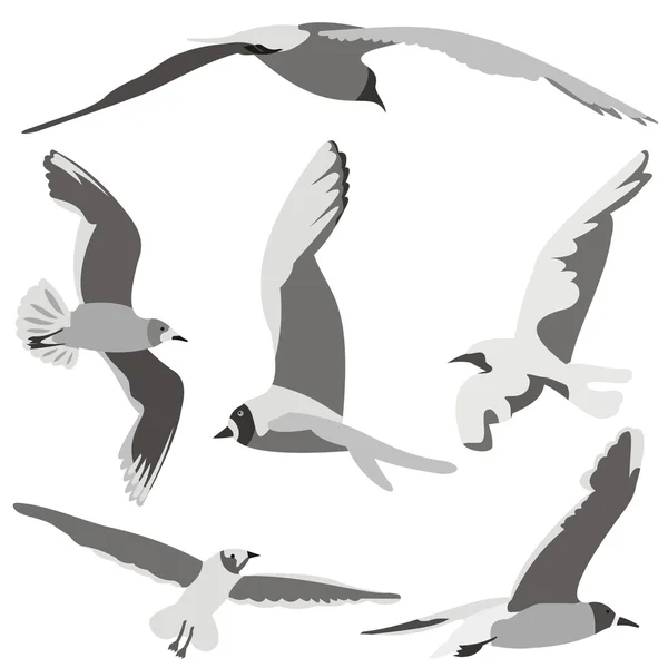 Ptáci v letu — Stockový vektor