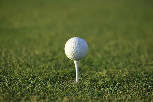 Golf verde — Foto Stock