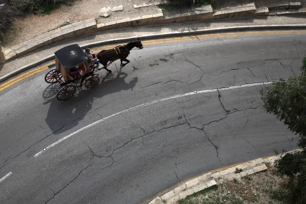 Przewóz z koniem na Malcie — Zdjęcie stockowe