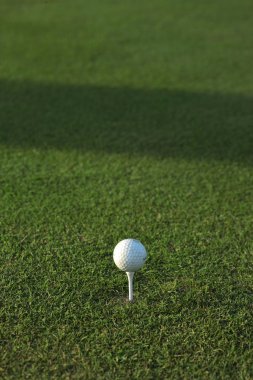 Yeşil çimlerin üzerinde golf topu