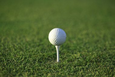 Golf yeşil