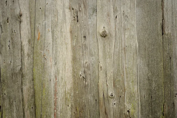 Textura madera vintage —  Fotos de Stock