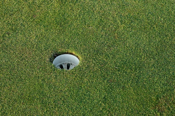 Golf zielony — Zdjęcie stockowe