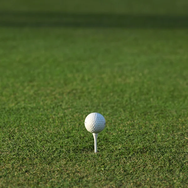 Golf yeşil — Stok fotoğraf