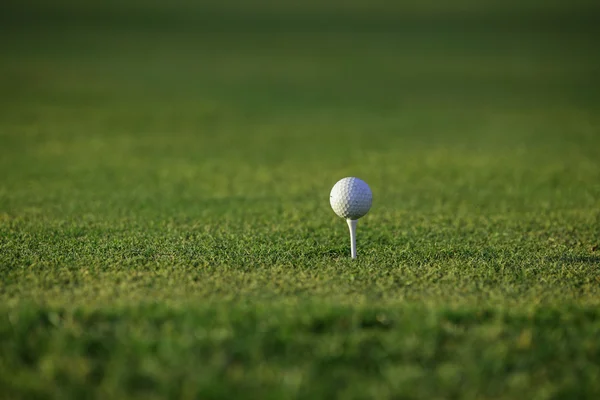 Verde de golfe — Fotografia de Stock