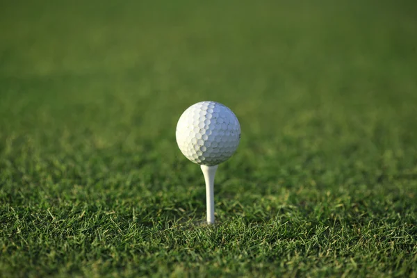 Golf verde — Foto de Stock