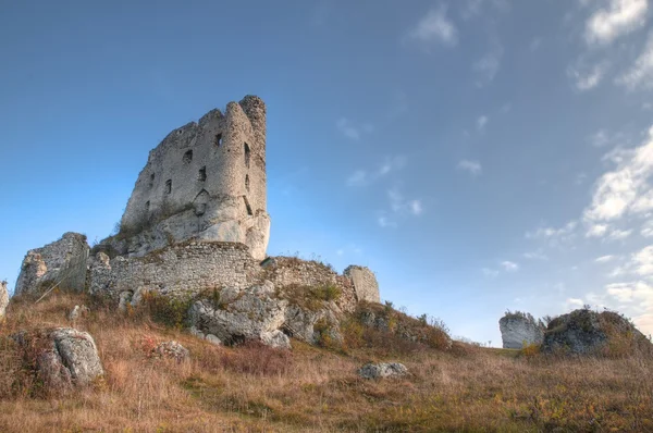Mirów castle — Stok fotoğraf