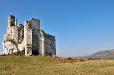 Mirów castle clipart