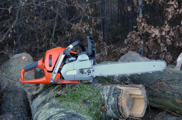 Цепная пила
