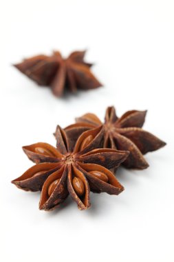 Anise on white background