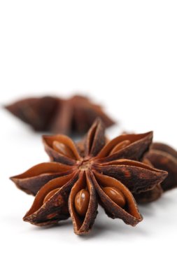 Anise on white background