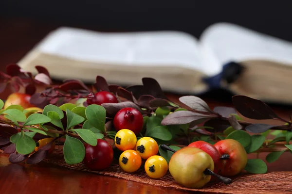 Sonbahar düzenleme ve İncil — Stok fotoğraf