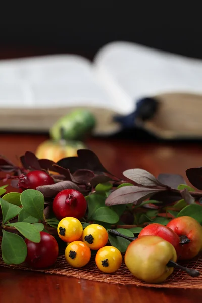Arranjo de outono e a Bíblia — Fotografia de Stock