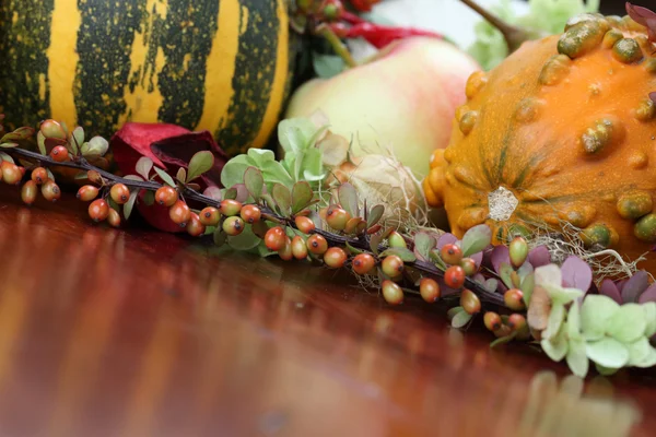 カボチャと秋の配置 — ストック写真