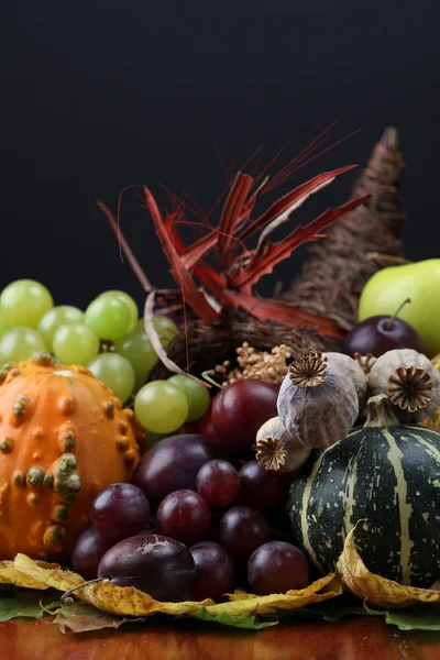 Autumn cornucopia — Stock Photo, Image