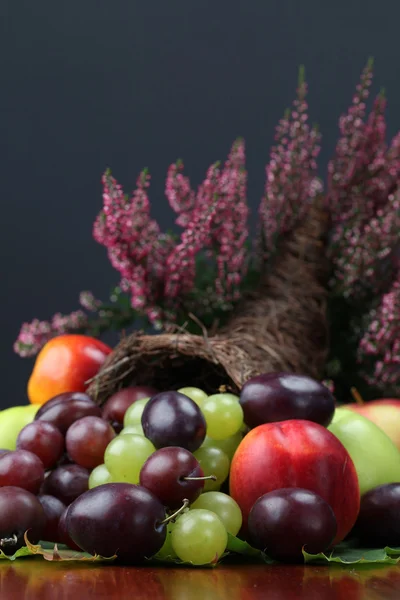 Fruit cornucopia — Stockfoto