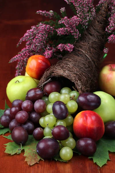 과일 풍부 — 스톡 사진