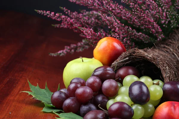 Roh hojnosti ovoce — Stock fotografie