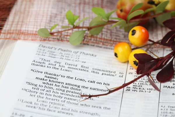 Biblia de Acción de Gracias — Foto de Stock