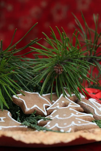 ジンジャーブレッドのクッキーや松の枝 — ストック写真