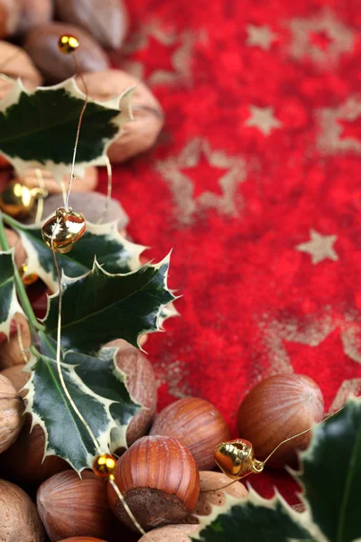 Holly y nuez frontera de Navidad —  Fotos de Stock
