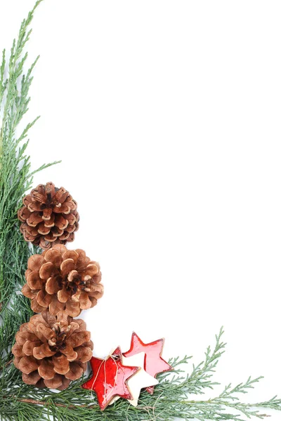 Cone and star Christmas border — Stock Photo, Image