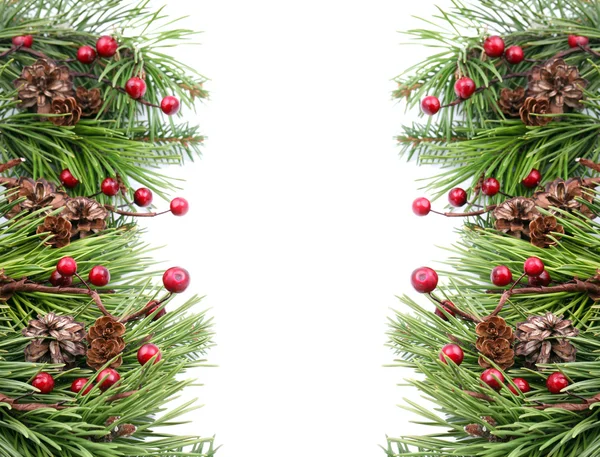 锥和浆果圣诞帧 — 图库照片