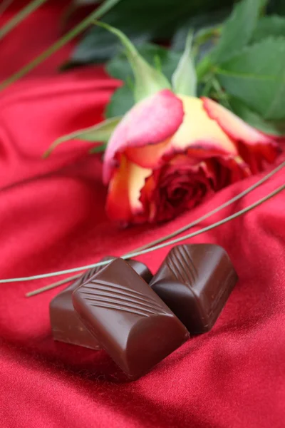 Çikolata ve gül — Stok fotoğraf
