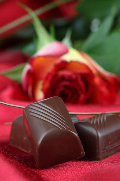 Chocolate e rosa — Fotografia de Stock