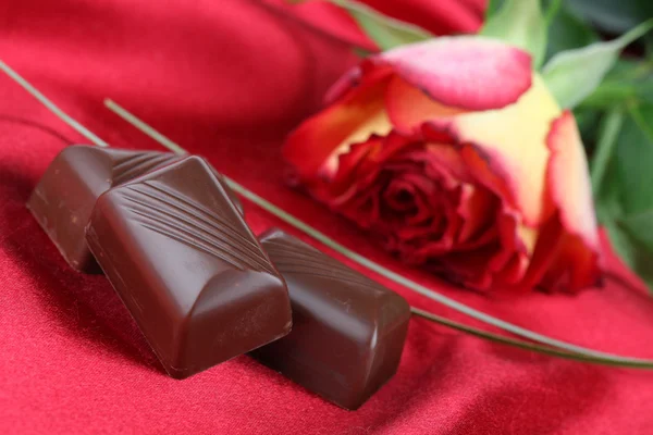 Шоколад и роза — стоковое фото