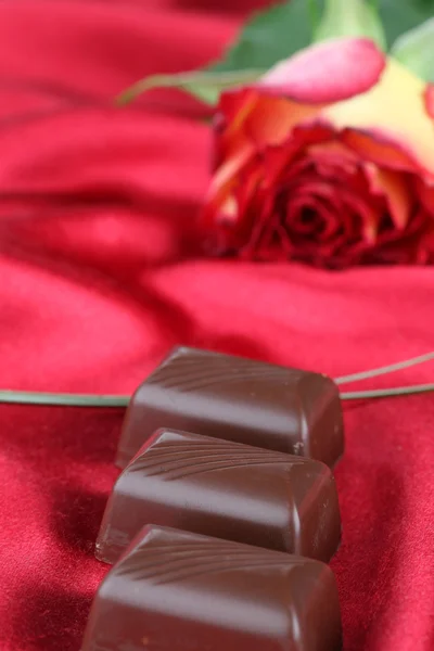 Choklad och rose — Stockfoto
