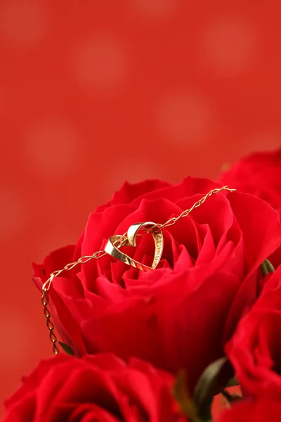 Золотое ожерелье с сердцем на красной розе — стоковое фото