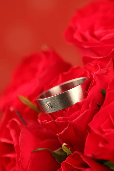 Titanium engagement ring in red rose — Stock Photo, Image