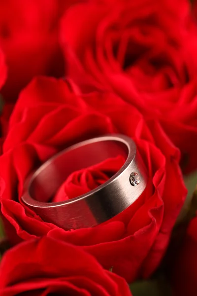 Titanium engagement ring in red rose — Stock Photo, Image
