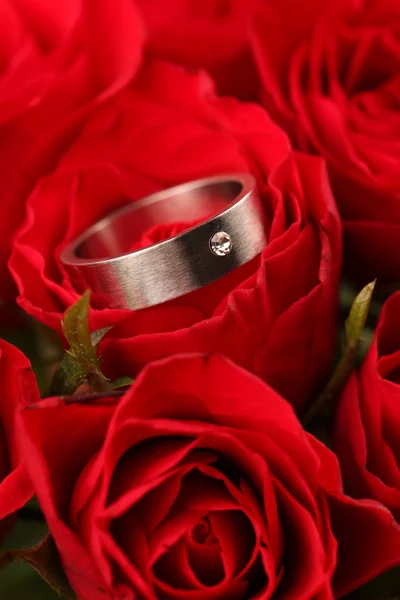 Τιτάνιο δαχτυλίδι αρραβώνων στο κόκκινο τριαντάφυλλο — Φωτογραφία Αρχείου