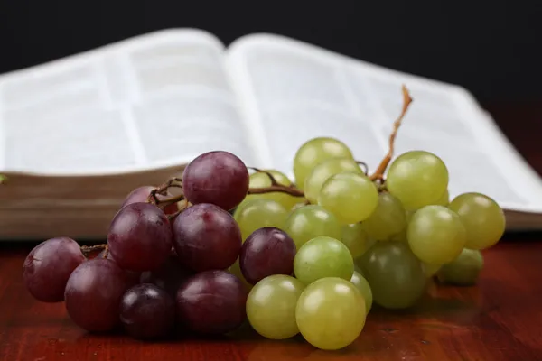 ブドウと聖書 — ストック写真