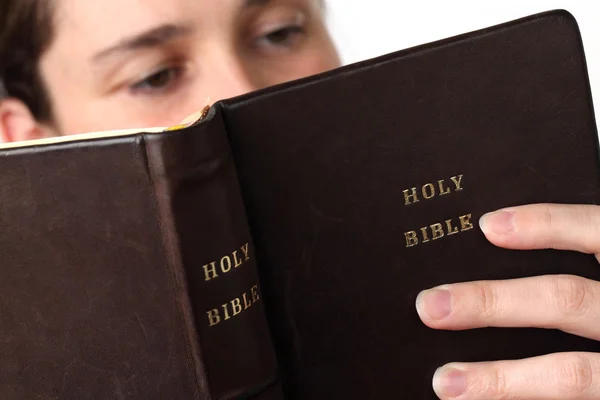 Läsa Bibeln — Stockfoto