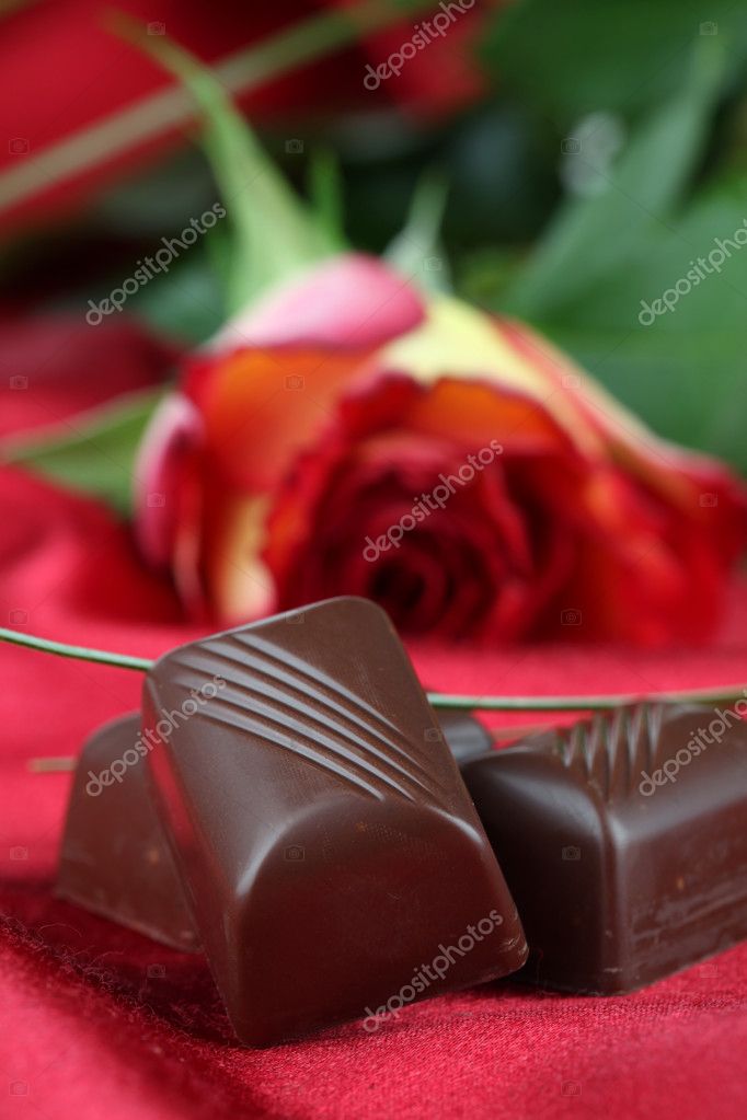chocolate and rose | 图库照片 08 ingrid heczko #7436490