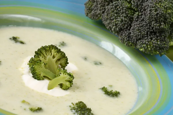 Broccoli crea soep — Stockfoto