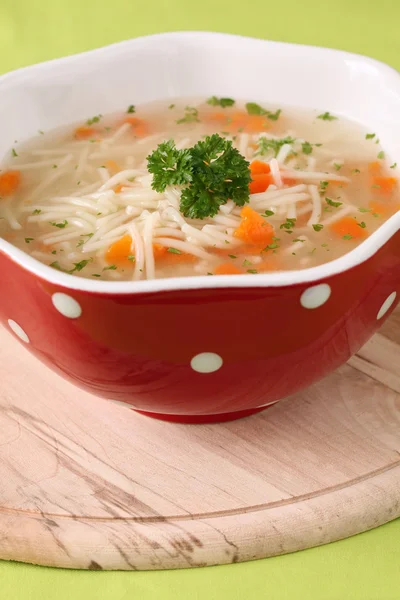 Chicken or turkey soup — Stock Photo, Image