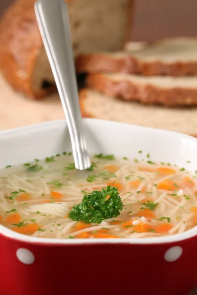 Kip of kalkoen soep — Stockfoto