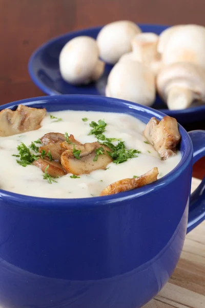 Zupa grzybowa — Zdjęcie stockowe