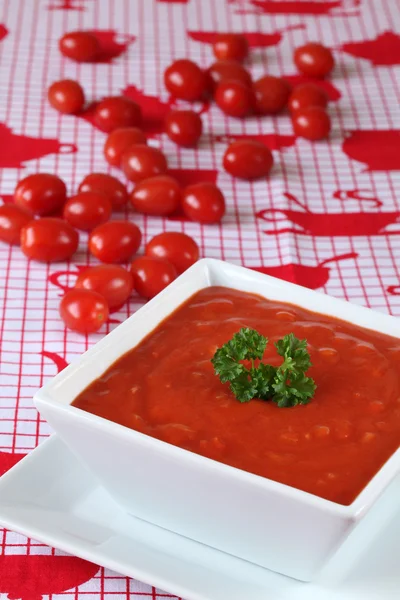 蕃茄汤 — 图库照片