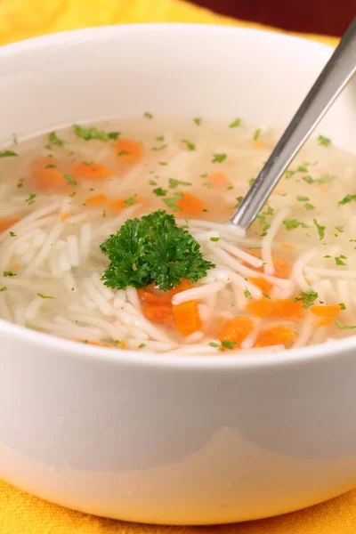 Turkey or chicken soup — Stock Photo, Image