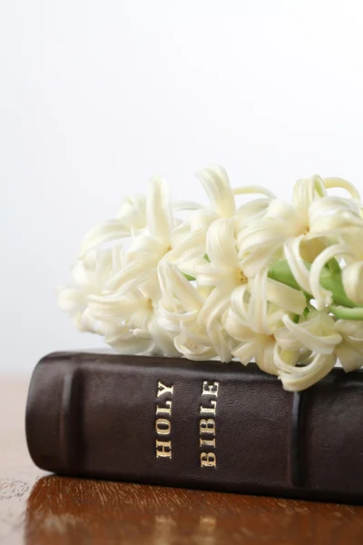 Bíblia e jacinto — Fotografia de Stock