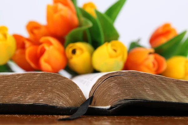 Bíblia e tulipas — Fotografia de Stock