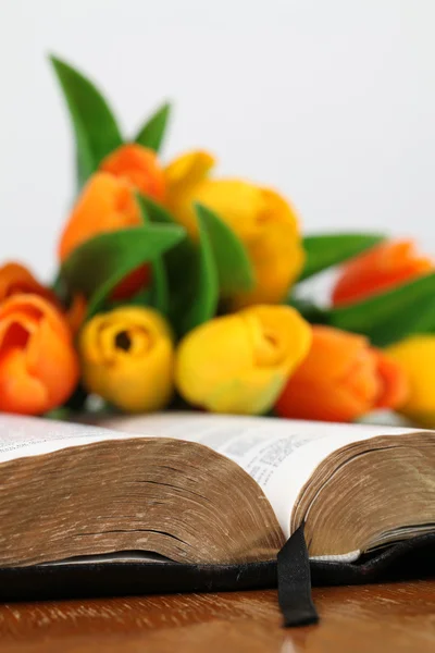 Bibbia e tulipani — Foto Stock