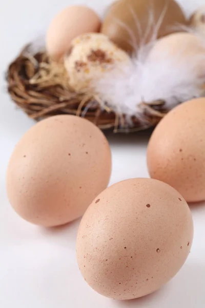 Brun kyckling och påskägg — Stockfoto