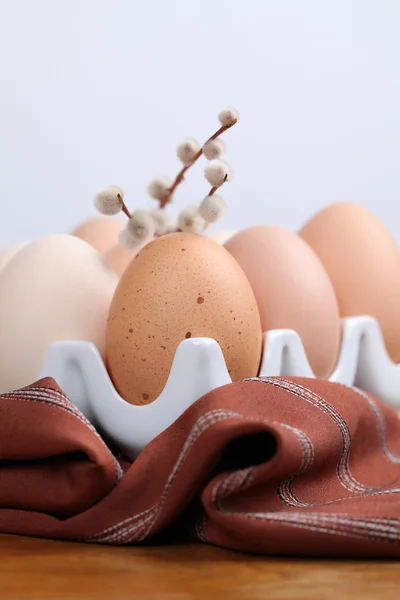 Ouă de pui brun și catkins — Fotografie, imagine de stoc