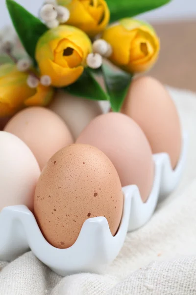 Kahverengi tavuk yumurtası ve laleler — Stok fotoğraf